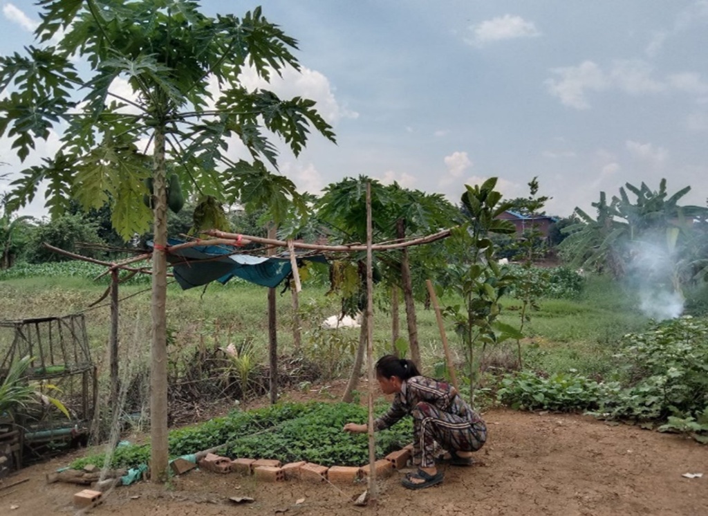 A woman crouched near the ground in front of a vegetable garden in rural Cambodia.