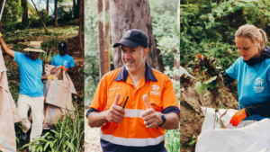 three images. The first and last show Bushfire Resilience volunteers clearing the land, the second image shows Bushfire Resilience Supervisor, Philip with a thumbs up.