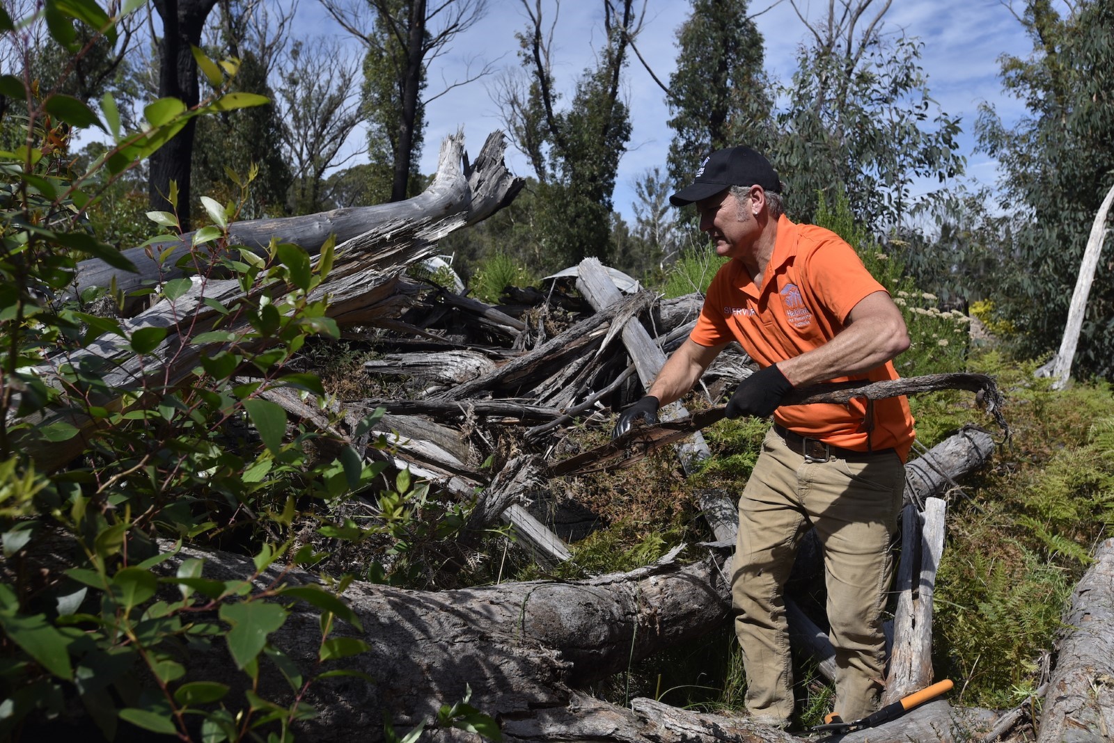 A habitat volunteer works to remove a fallen tree.