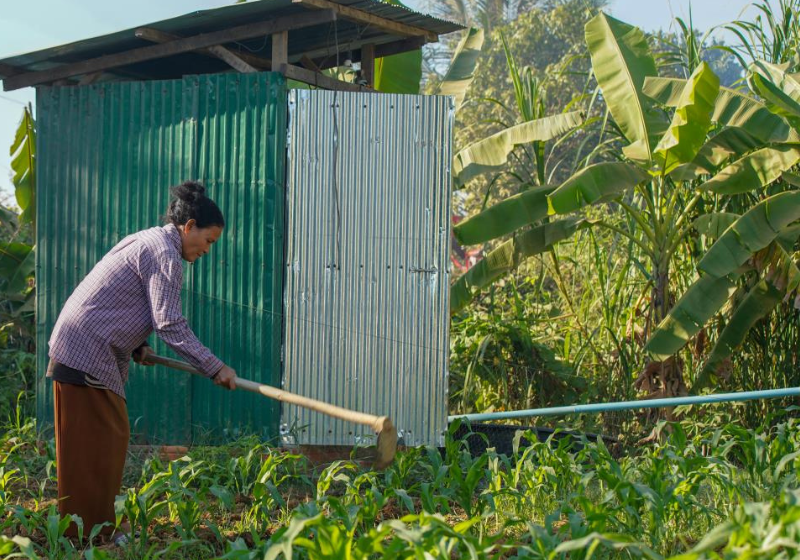 Homeowner gardening outside toilet