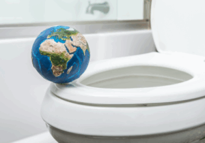 world toilet day