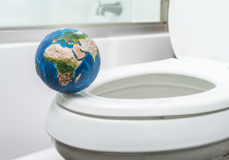 world toilet day